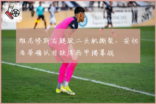 维尼修斯右腿股二头肌撕裂,安切洛蒂确认将缺席西甲揭幕战