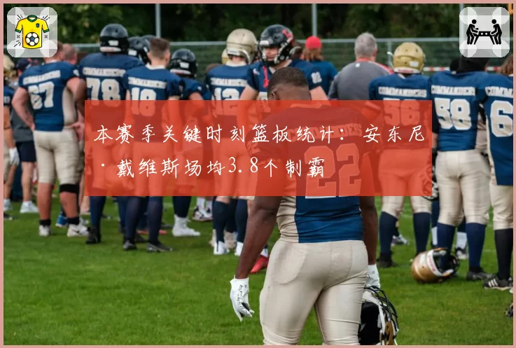 本赛季关键时刻篮板统计：安东尼·戴维斯场均3.8个制霸