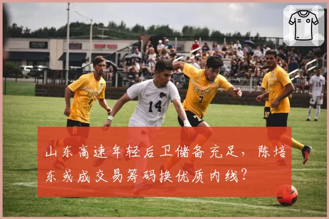 山东高速年轻后卫储备充足,陈培东或成交易筹码换优质内线?